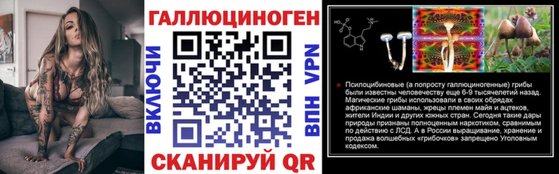 Купить где  Калязин  Галлюциногенные грибы мицелий 